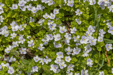 Similar image 21135620