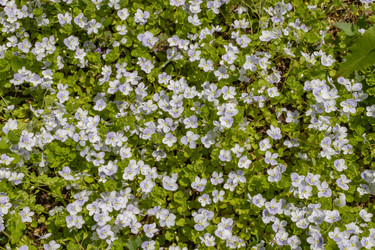 Similar image 21135621