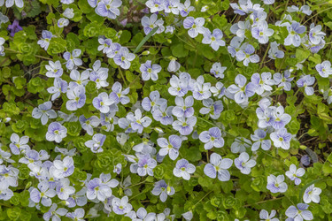 Similar image 21135622