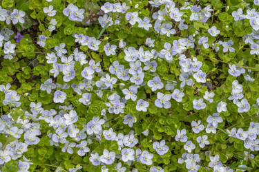 Similar image 21135623