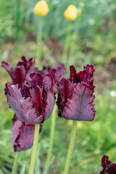 Similar image 21135628