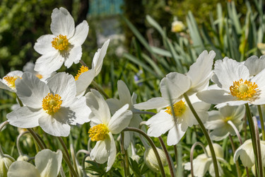 Similar image 21135629