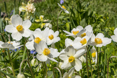 Similar image 21135630