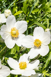 Similar image 21135631