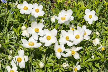 Similar image 21135632