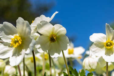 Similar image 21135633