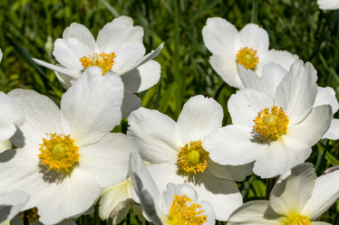 Similar image 21135634