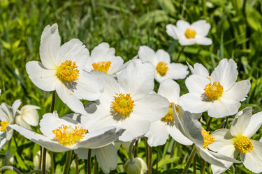 Similar image 21135635