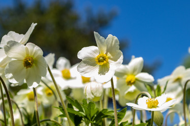 Similar image 21135636