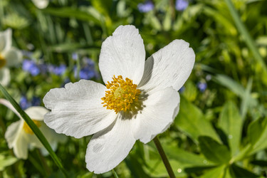 Similar image 21135639