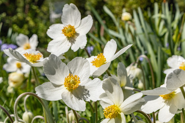 Similar image 21135640