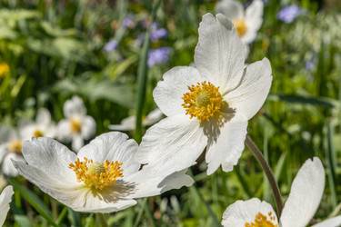 Similar image 21135641