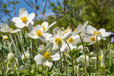 Similar image 21135642