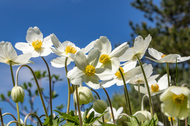 Similar image 21135643