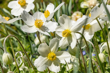 Similar image 21135644