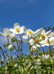 Similar image 21135645