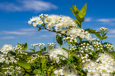 Similar image 21135646