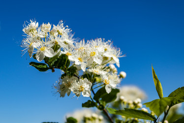 Similar image 21135647