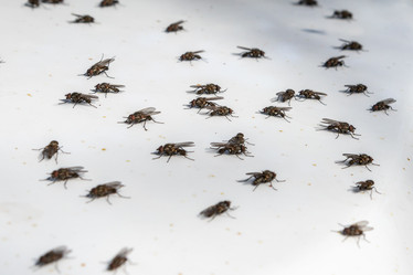 Similar image 21135650