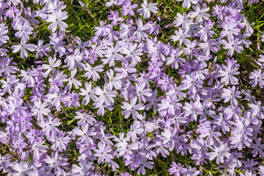 Similar image 21135652