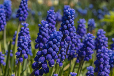 Similar image 21135657