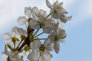 Similar image 21135658