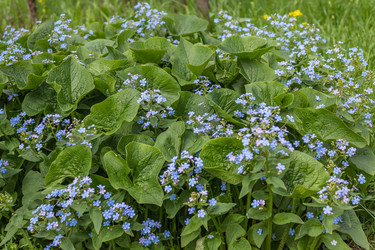 Similar image 21135659