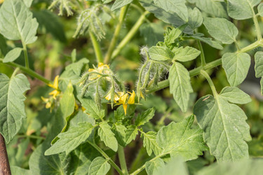 Similar image 21135660