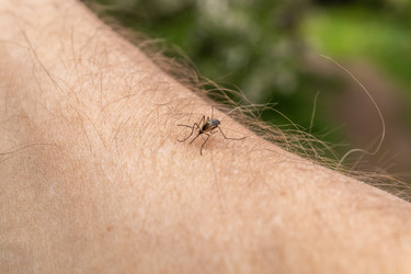 Similar image 21135663