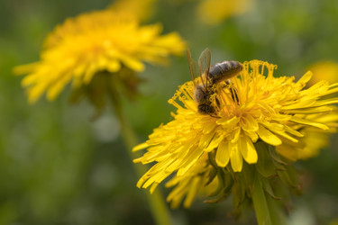 Similar image 21135665