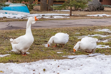 Similar image 21135667