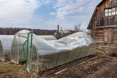 Similar image 21137837