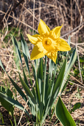 Similar image 21137841