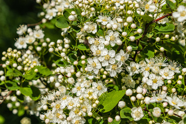 Similar image 21138035