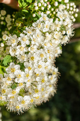 Similar image 21138036