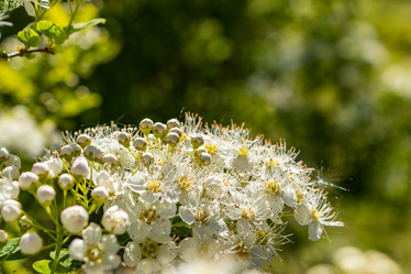 Similar image 21138037