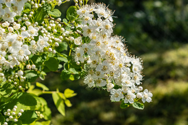 Similar image 21138039