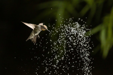 Similar image 21134331