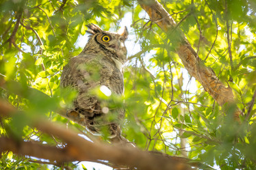 Similar image 21134333