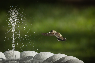 Similar image 21134335