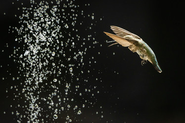 Similar image 21134344