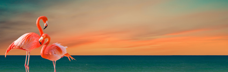 Similar image 21136169