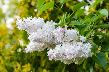 Similar image 21138045