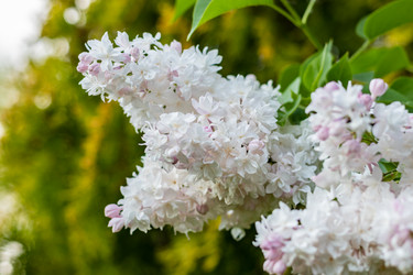 Similar image 21138046