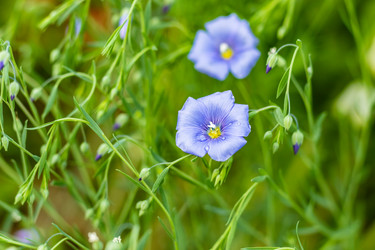 Similar image 21138048