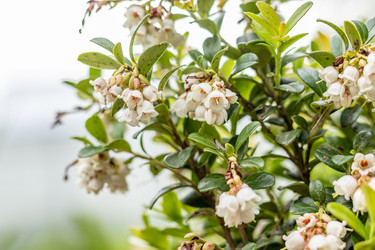 Similar image 21138049