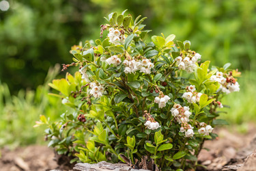 Similar image 21138051