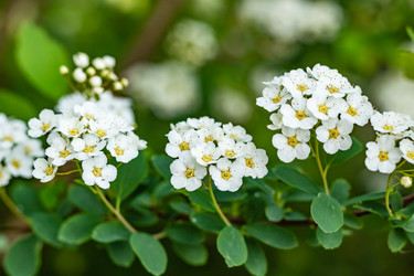 Similar image 21138052