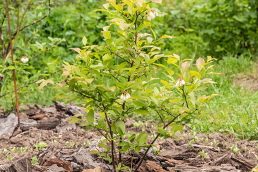 Similar image 21138053