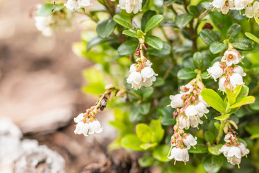 Similar image 21138055